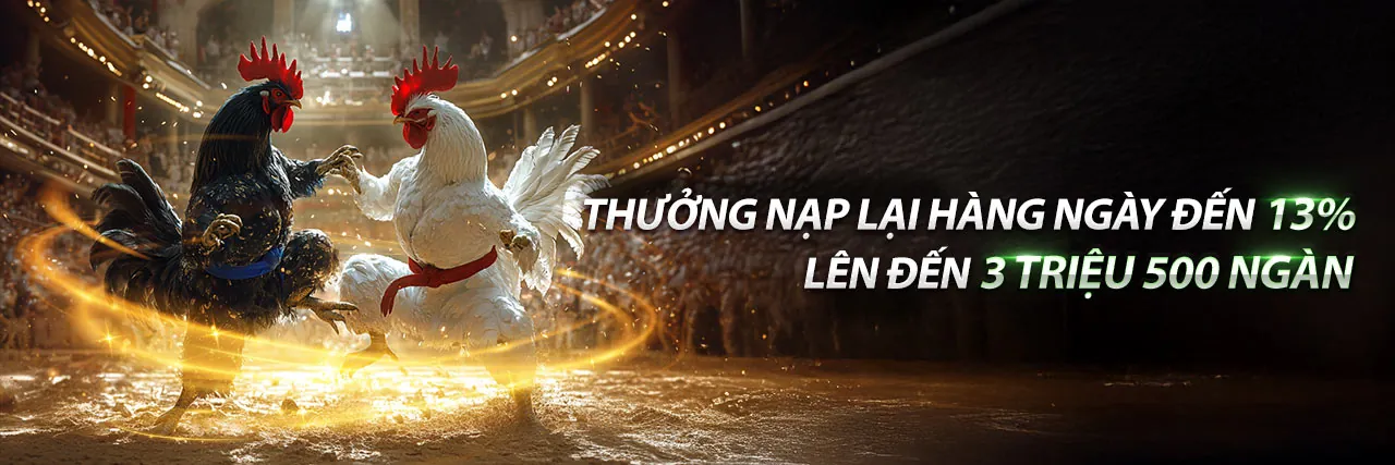Chương trình đối tác 2bong88 khuyến mãi