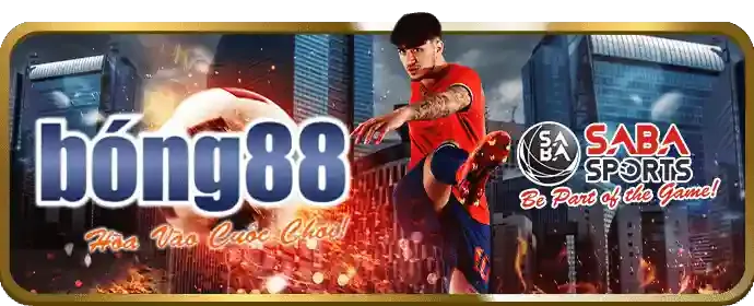 Lý do chọn 2bong88 để chơi đá gà